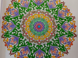 whatsapp bild 2024-07-24 um 18.48.06_46527b7f